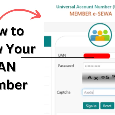 How to Know Your UAN Number